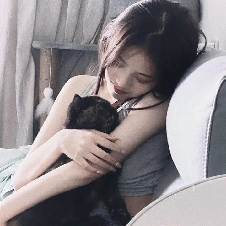 爆炸猫